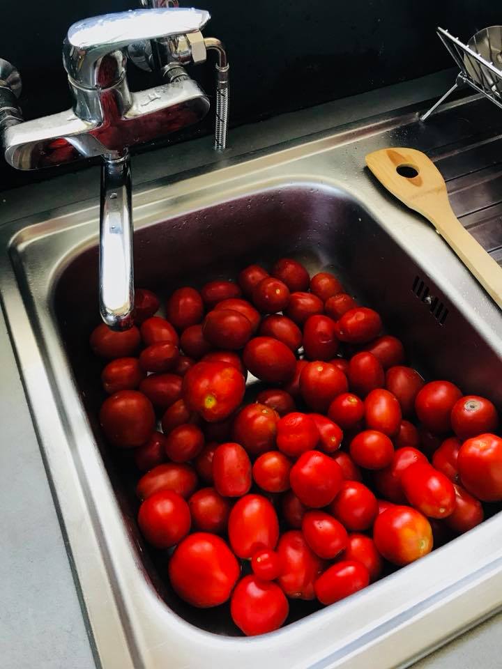 Tomates dans lavabo